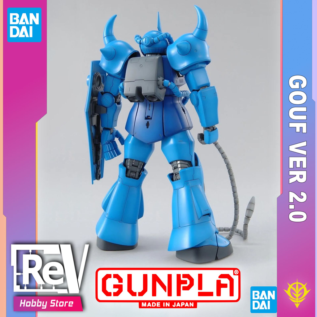 GF5.webp